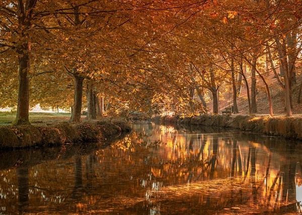 Quest-ce que la theorie de la gestion ?